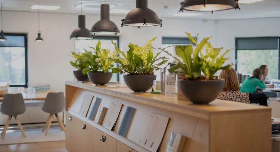 Decor & Verlichting